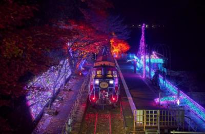 秋の京都で『光の幻想列車』　嵯峨野観光鉄道が10・25からライトアップ